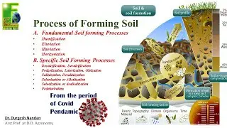 Overview on the Soil forming processes