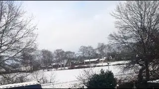 White Satuday