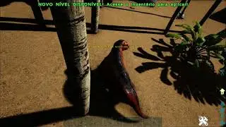 🦕🦖 ARK SURVIVAL Ragnarok - Moschops