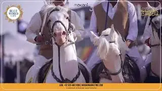 Blue World City Tent Pegging Championship