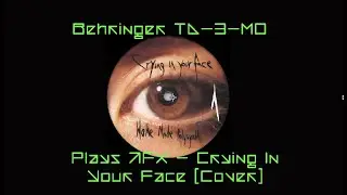 Behringer TD-3-MO, RD-8 MKII do AFX- Crying in Your Face (Cover)