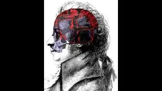 Der Mozartautomat Teaser