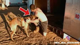 LIVE BITE REAL DEAL DOG TRAINING