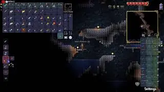 Streaming some Terraria