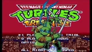 Turtles in Time-Leonardo [Hard mode]