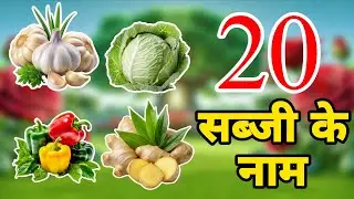 20 Vegetables name | Vegetables name in Hindi and English | सब्जियों के नाम | #rainbowlearner  |