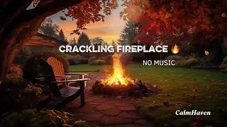 Peaceful Campfire Sounds 🔥 | 1 Hour Fire Ambience &ndash; No Music 