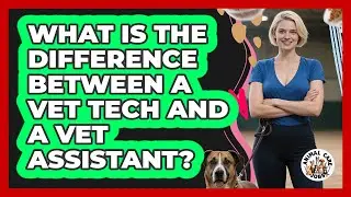 What Is The Difference Between A Vet Tech And A Vet Assistant?