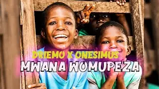 Driemo mw x Onesimus Mwana Womupeza Free Afrobeat x Dancehall Beat 2026