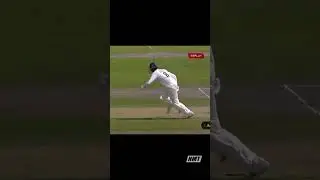 FUNNY MOMENTS IN CRICKET #cricket #funnyvideo