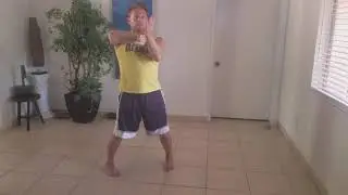 Wing Chun solo practice hand basics