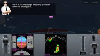 Airline Commander senior captain landing