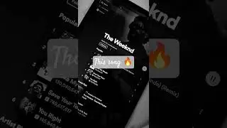 Timeless ❤️ #theweeknd #timeless #music #songspotlight #fyp #viral #youtube #shorts