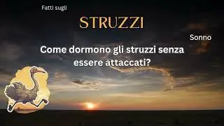 Fatto sullo struzzo 40 - Come dormono gli struzzi senza essere attaccati?