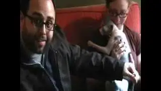 Kitty Companions - Josh Hyman - host clip