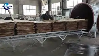 High-Frequency 3m&sup3; Wood Slab Vacuum Dryer for Woodworking