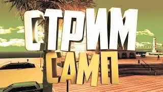 Развиваемся на Платинум РП | ABSOLUTE RP | GTA SAMP СТРИМ !