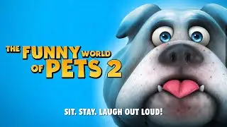 The Funny World of Pets 2 - Full Movie | Simon Hill, Thomas Freely, Carmen Piroli