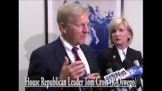 Illinois House Pension Investments Committee - Leader Tom Cross