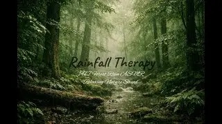 24/7 Forest Rain ASMR 🌧️ Relaxing Nature Sounds | Rainfall Therapy