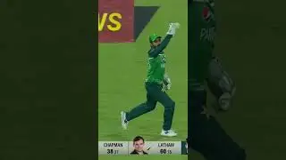Shaheen Afridi's Masterful Bowling | Watch All 8 Wickets He Took Against New Zealand in 2023