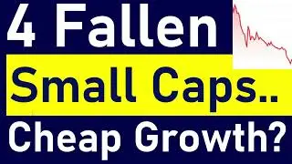 4 Fallen Hyper Growth Small Cap Stocks! Why Are They So Cheap?