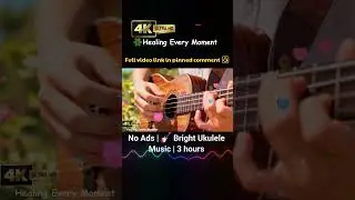 No Ads | 🎸 Bright Ukulele Music | 3 hours | 24.1