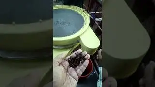 Tea making process....at munnar tea museum....