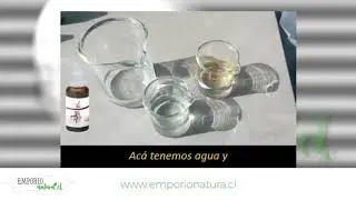 Emporio Natura - Fitline - NTC Concepto de Transporte de Nutrientes Dr. Tobias K&uuml;hne