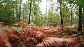 GR22 a travers mes yeux