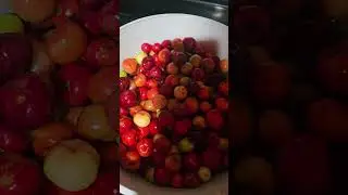 How to make guyana cherry jam, 4 ingredients.