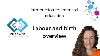 CubCare Introduction to Antenatal Education - labour and birth webinar