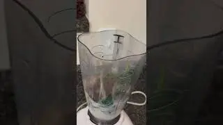 50 gram protein ice coffee. Full video in my channel #supershake #milkcoffee