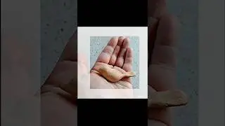 When a carving comes alive