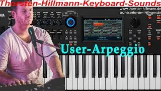 Einsteiger Tutorial Yamaha Modx Arpeggio (User Arp)
