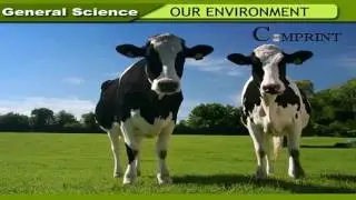 6th Class | English Medium  | General Science |Our Environment | Digital Teacher