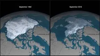La glace marine de l'Arctique de 1984 &agrave; 2018