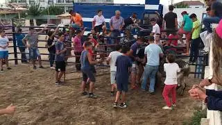 Festas de Marinhais 2017 || Vacada || 07.08.2017