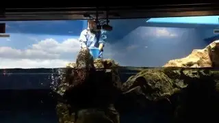 20160229「30年間ありがとう！セレモニー」ラッコ サンシャイン水族館 ロイズ