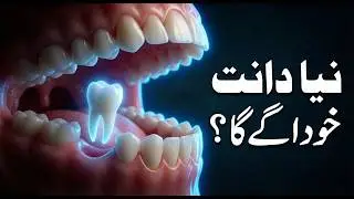 ab niya dant khud age ga | Japan aur Korea ki Hairan Kun Research | Poori Duniya ke Dentists Hairan