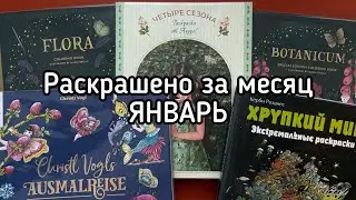 Раскрашено за месяц ЯНВАРЬ 🌲☃️