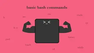 Learn Basic Bash Commands