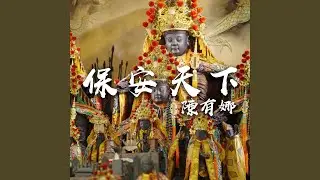 保安天下
