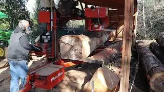 Big Douglas Fir Milling