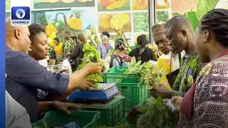 Lagos State Govt. Rebrands Ministry Of Agriculture