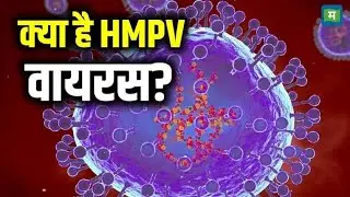 HMPV virus details in hindi language