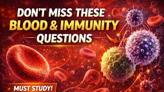 Don&rsquo;t Miss These Blood & Immunity Questions | Physiology High-Yield for MBBS