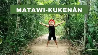 Matawi-Kuken&aacute;n - Boi Garantido
