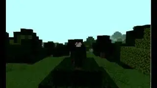 Dadrewster Application vid,
