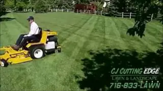Lawn care & Landscaping Buffalo NY